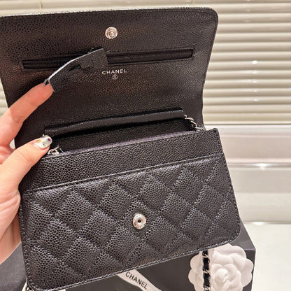 2025 Bag Classic Flap Bag W3924